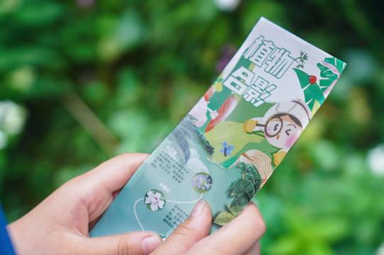 成都望江宾馆图片