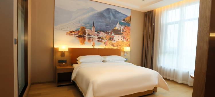 维也纳酒店(武川政务大厅店)图片