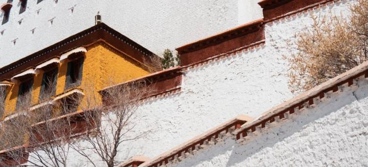 拉萨春秋富氧酒店(布达拉宫八廓街店)图片