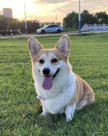 婺源篁岭·山语云舍(婺源篁岭风景区店)图片