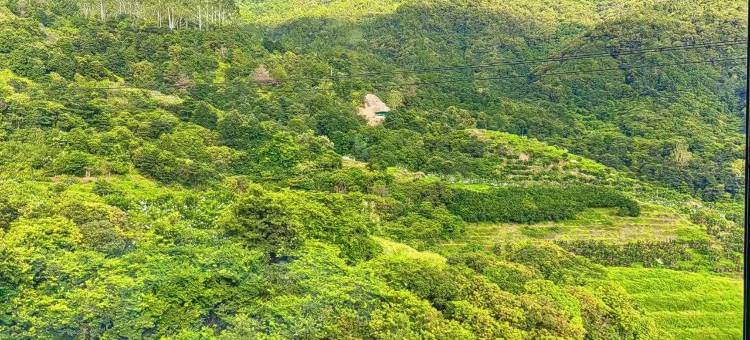 望山谷民宿(灵通山景区店)图片