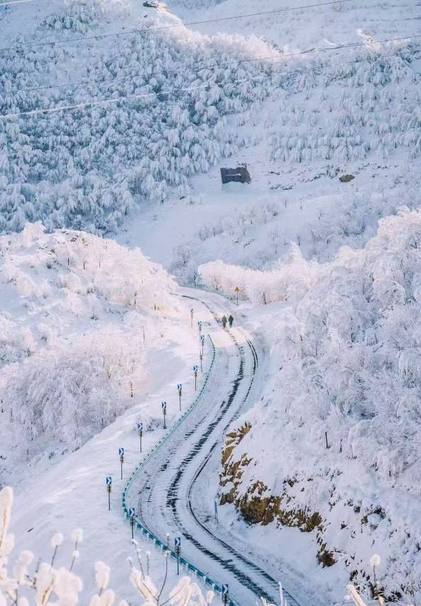 如家商旅酒店(乌鲁木齐美美MM购物中心新疆博物馆店)图片