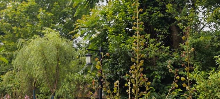 黛墨美宿艺术酒店图片