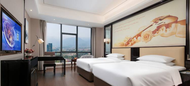 维也纳国际酒店(茶陵店)图片