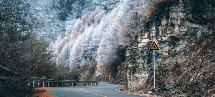 拾光·归宿木屋酒店图片