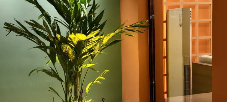 Rany·瑞汐酒店(保定万博广场店)图片