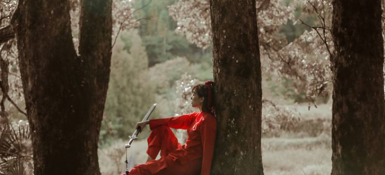 丽水遂昌乐领旗山侠隐庄园图片