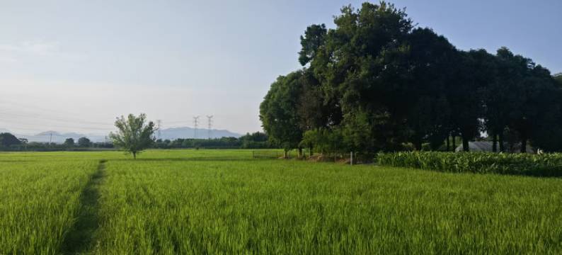 岚宿民宿(黄山北站西溪南店)图片