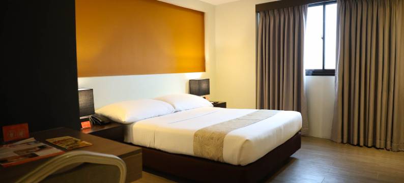 普罗克斯东方阿尔拜酒店(Proxy by The Oriental Albay)图片