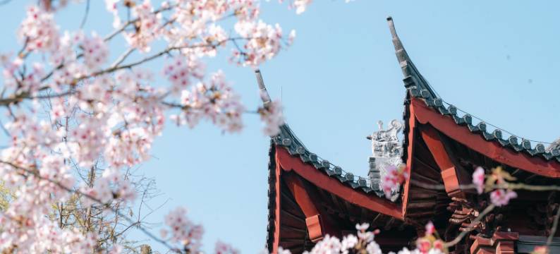 盐城大洋湾颐和湖畔酒店图片