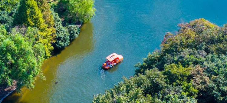 安吉桃源慢谷民宿(中南百草原店)图片