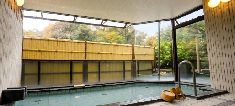 利夫马克斯度假酒店-奥道后店(LiVEMAX RESORT OKUDOGO)图片