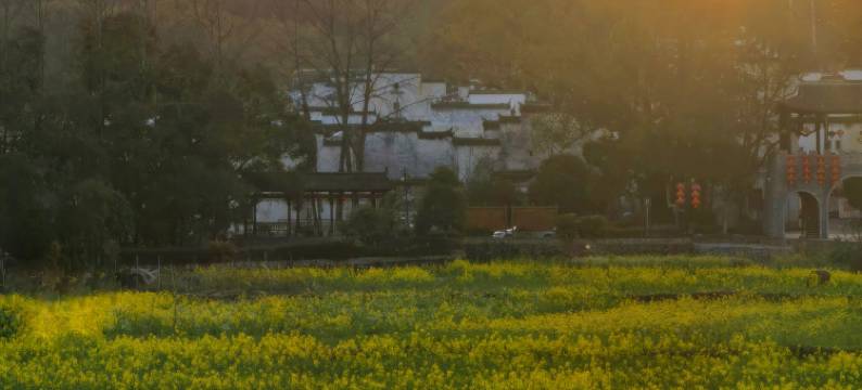 在荷间·婺源墅家百年故里西冲院图片