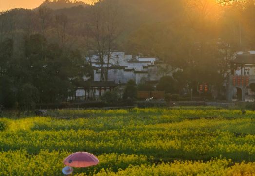 在荷间·婺源墅家百年故里西冲院外景图