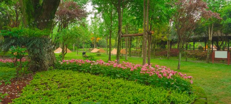 丹景·牡丹小院图片
