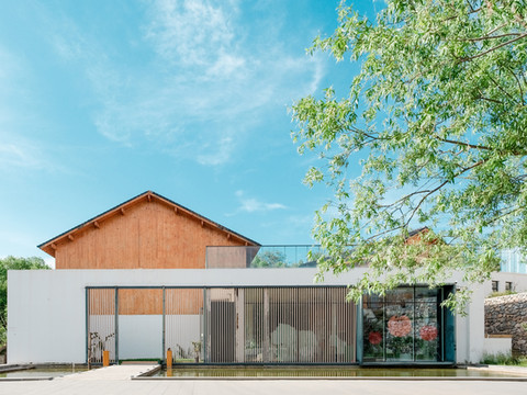 北京大树与猫民宿