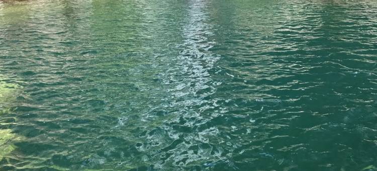 山隐归心民宿(万仙山景区店)图片