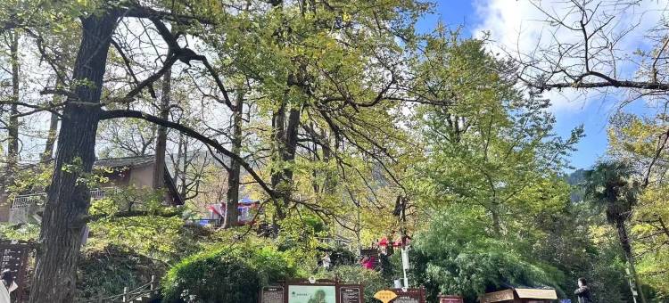 尚客优酒店(嘎结古寺店)图片