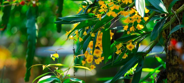沙坝草堂庭院民宿图片