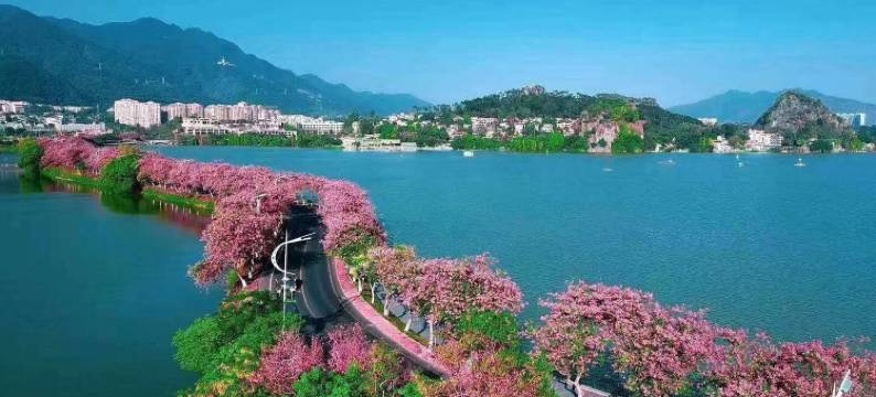 予·六月民宿图片