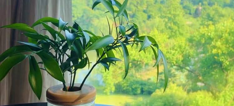 赤壁春泉庄酒店图片