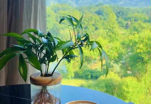 Springs Resort ChibiHotel Overview