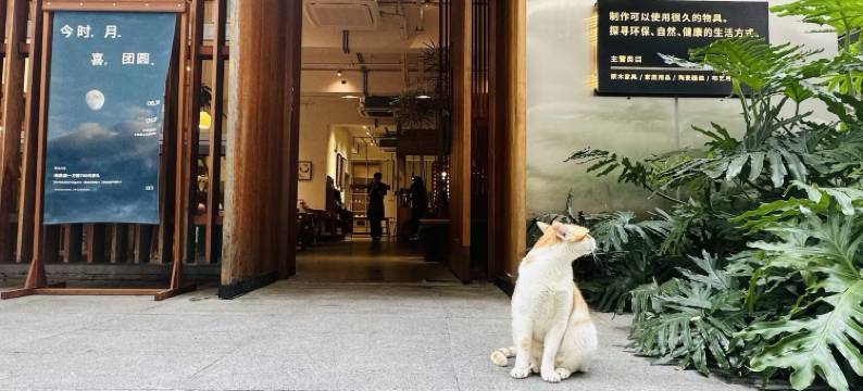 泊寓(深圳南头古城店)图片