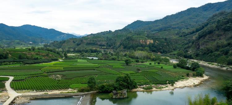 花筑奢·武夷山自在一味茶庄园民宿图片