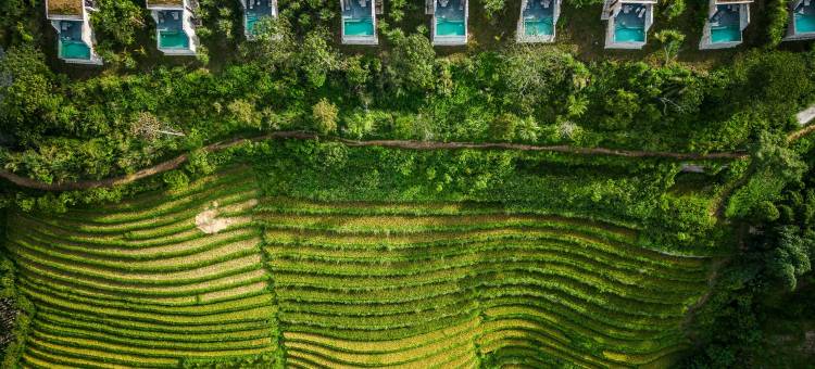 TOPAS生态度假村(Topas Ecolodge)图片