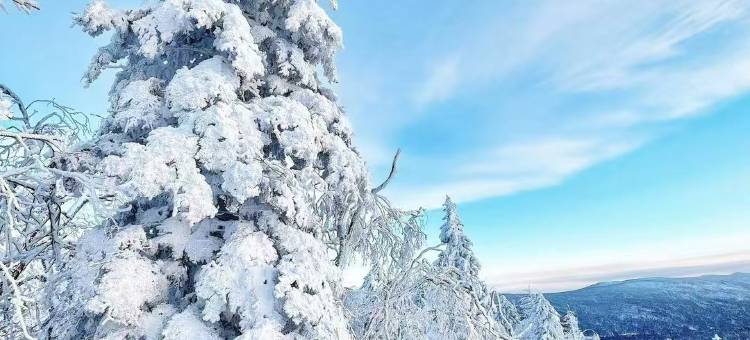 山居日记民宿(亚布力滑雪旅游度假区店)图片