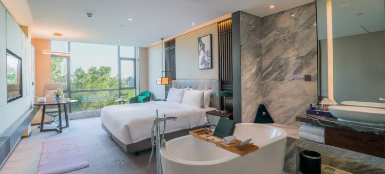 桂林天龙湾璞悦酒店(象鼻山两江四湖店)图片