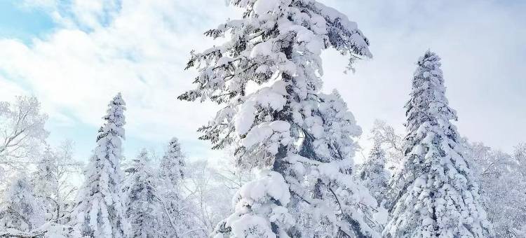 雪谷丁子涵时尚家庭旅馆图片