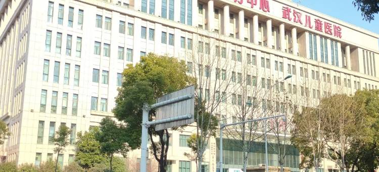 里程酒店(武汉香港路儿童医院店)图片