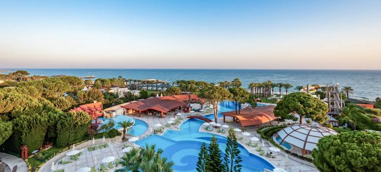 帕洛玛森西亚(Paloma Sencia)图片