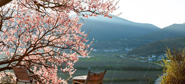 半山探野·Comfortable自然生活私享度假美宿(纳帕海旅游景区店)图片