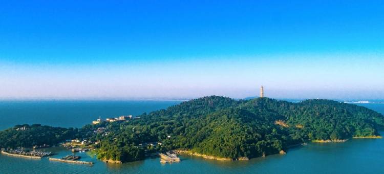 叶子智臻酒店(合肥邦泰科技城店)图片