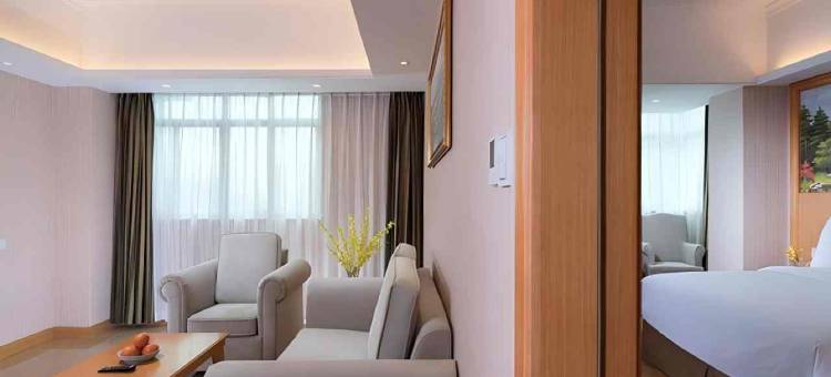 维也纳酒店(大亚湾新寮店)图片