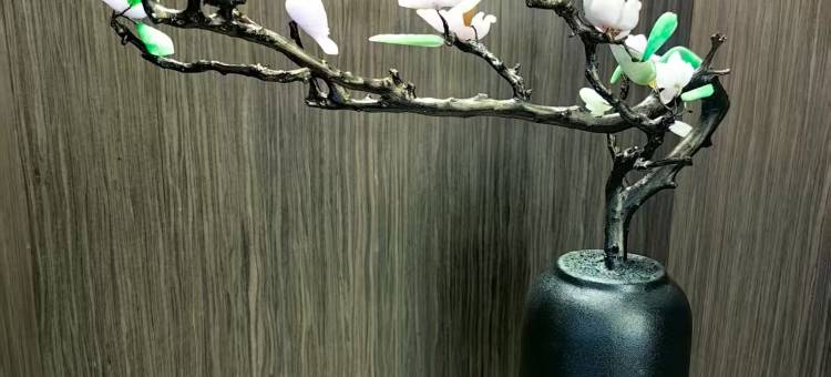 柏逸酒店(深圳北站店)图片