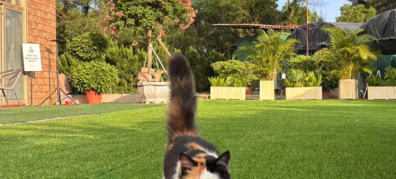 惠州惠东双月湾天天花园民宿图片