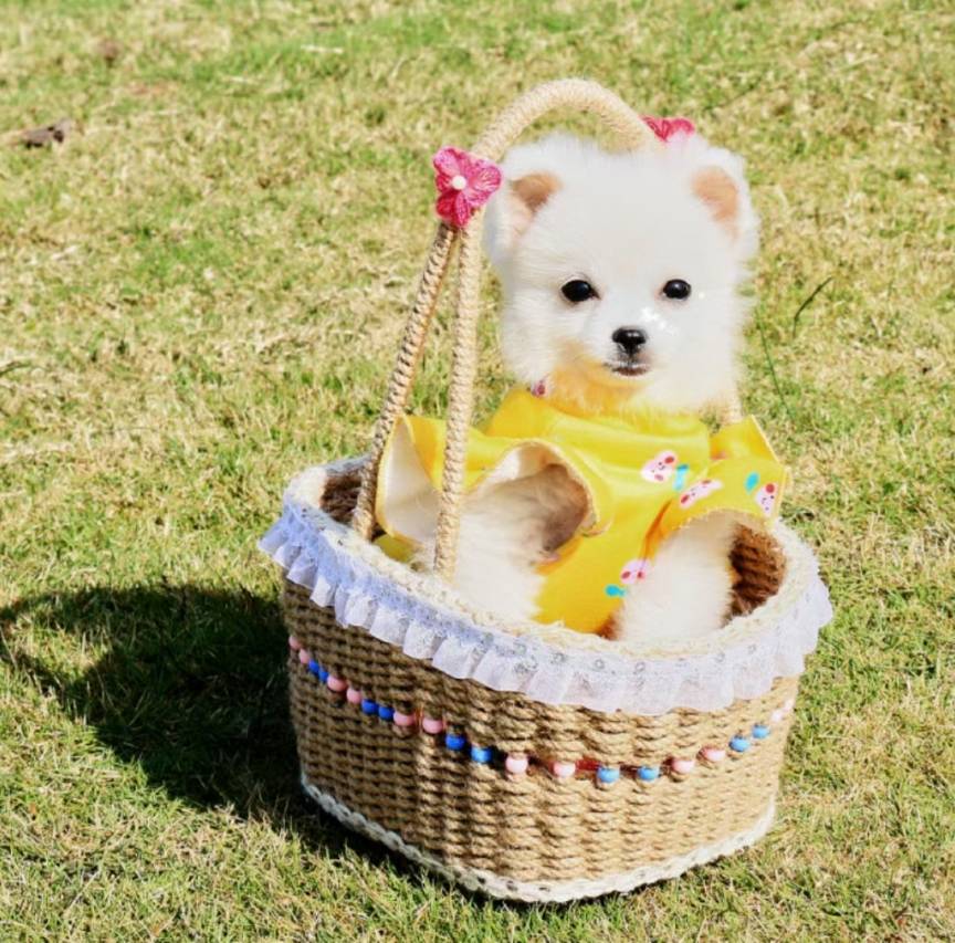 携程度假农庄(宜宾李庄半丘塘联营店)图片