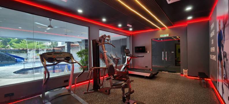 莎阿南德帕尔马酒店(De Palma Hotel Shah Alam)图片