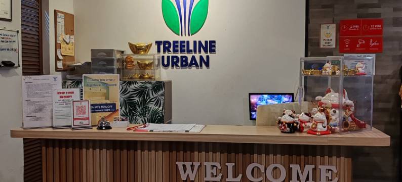 树线城市旅馆(Treeline Urban Inn)图片