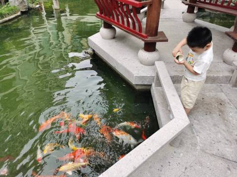 天台麦田•亚曼庭院酒店(赭溪老街济公故居店)图片