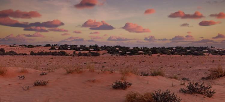 迪拜阿玛哈豪华精选沙漠水疗度假酒店(Al Maha, a Luxury Collection Desert Resort & Spa, Dubai)图片