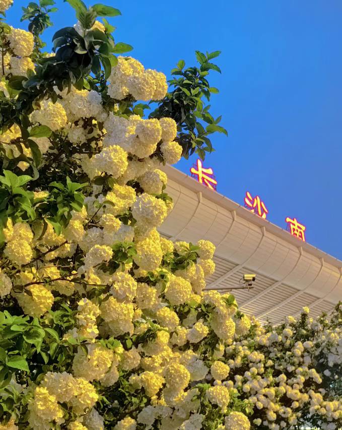 长沙豪生Howard Johnson Club酒店(高铁南站国际会展中心店)图片