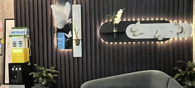 YZ·轻住艺术酒店(西湖公园店)图片