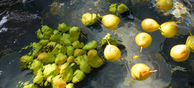 禄丰锶泉酒店图片