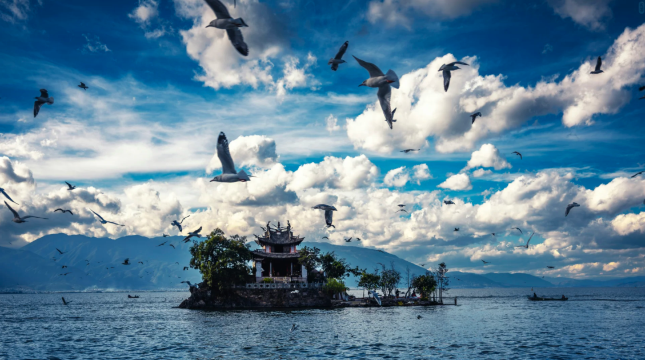 大理境云花舍·Seascape海景设计师丨New轻奢度假美宿°(洱海店)图片