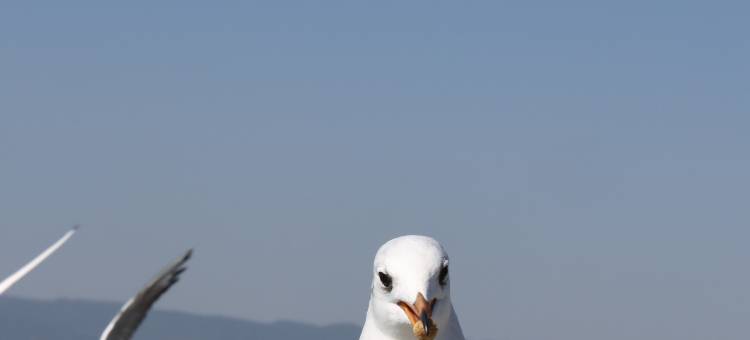 昆明洲际酒店图片