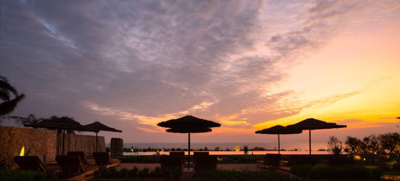 方岛丨巨鲸图片